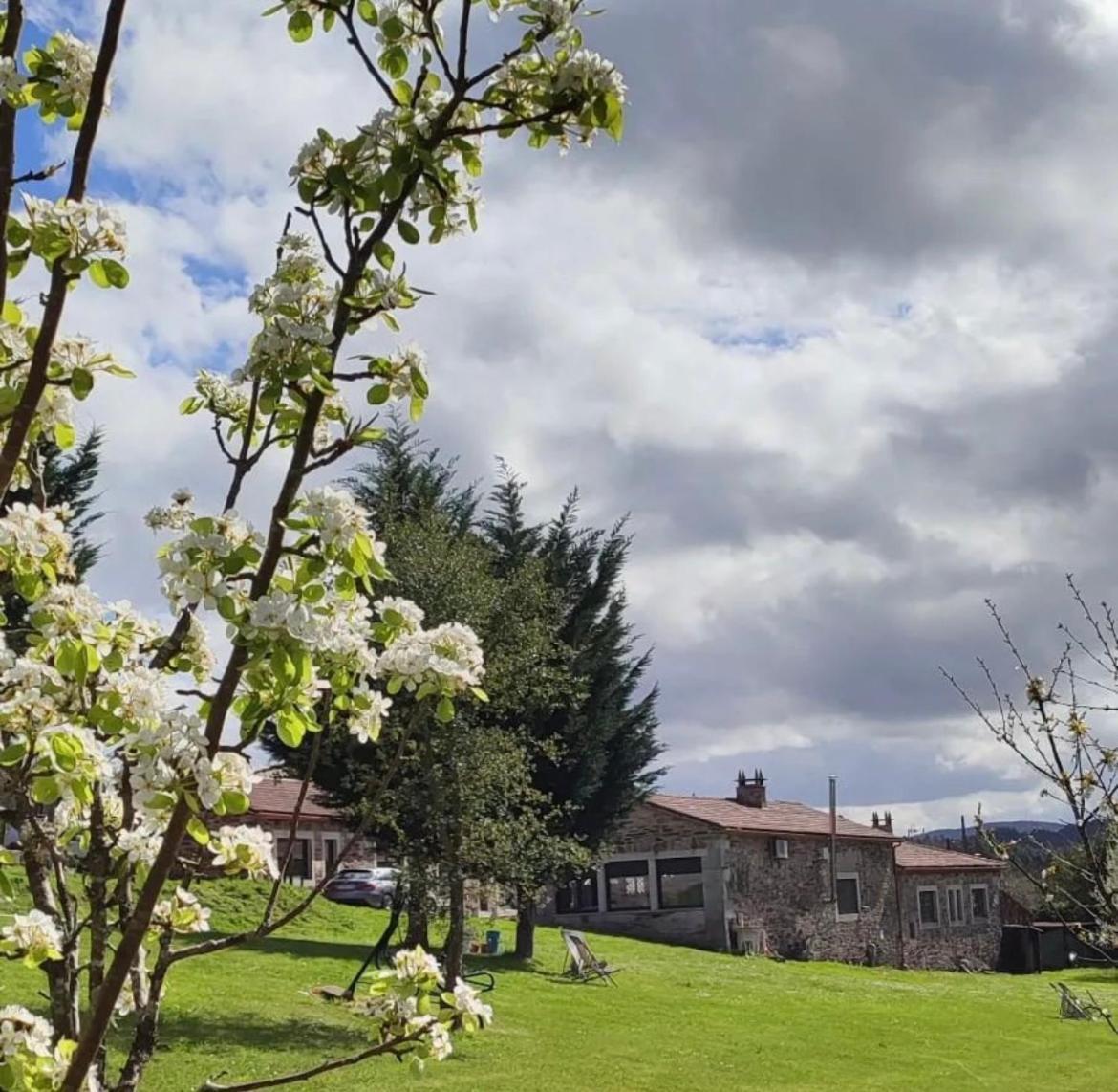 Hotel Casa Bolboreta Palas de Rei